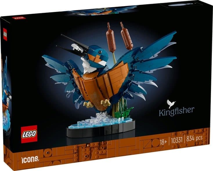 LEGO 10331 ICONS - Martin pescatore - 5702017599564