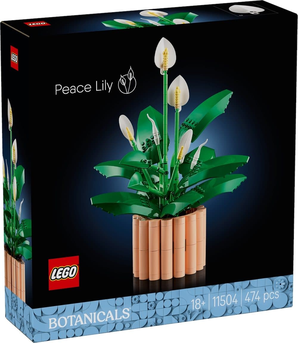 LEGO 11504 BOTANICALS - Spatifillo - 5702018031858