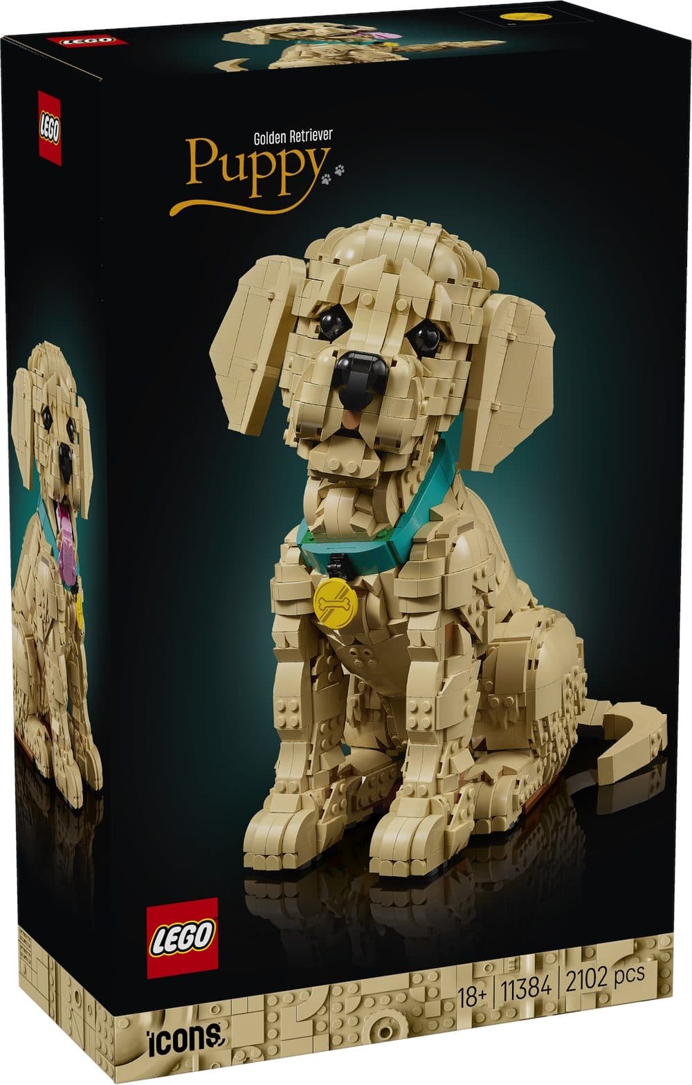 LEGO 11384 ICONS - Cucciolo di Golden Retriever - 5702018063651